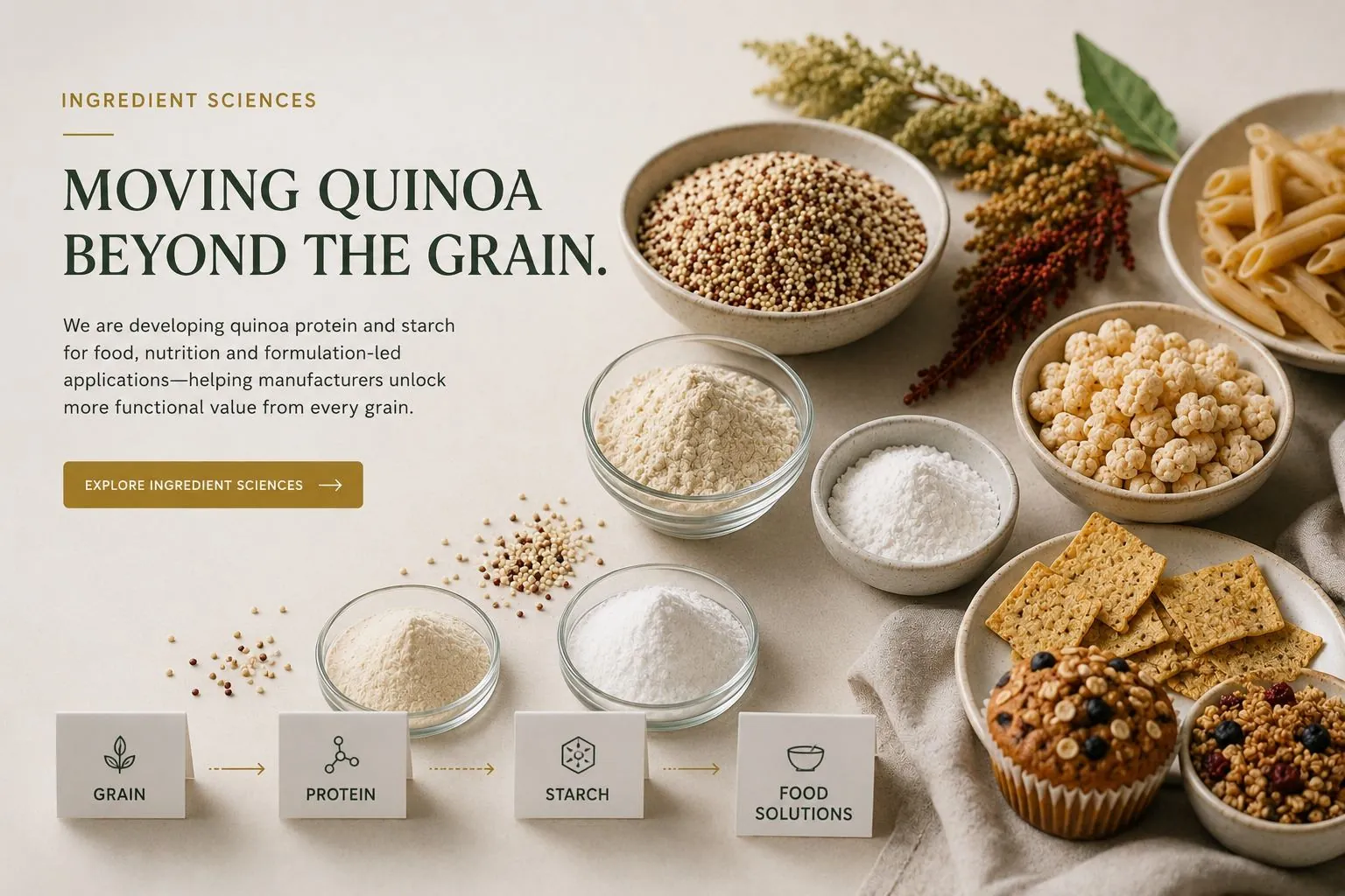 Ingredient Sciences — moving quinoa beyond the grain. We are developing quinoa protein and starch for food, nutrition and formulation-led applications, helping manufacturers unlock more functional value from every grain.